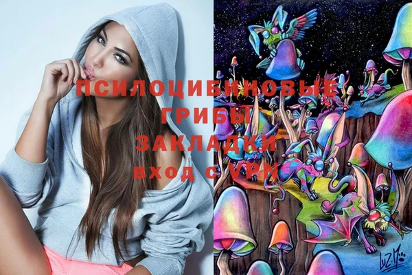стаф Алексеевка