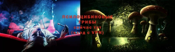 стаф Алексеевка