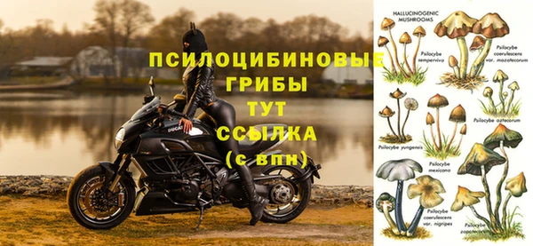 индика Алексин