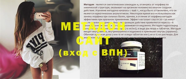 индика Алексин