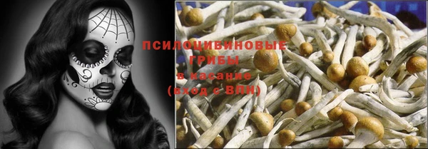 стаф Алексеевка